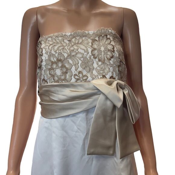 Nine 2 Nine Strapless Lace & Satin Long Gown Size 10 NWT - Picture 4 of 14